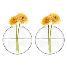 T'obi.m 壁掛式玻璃花瓶 2入, 透明