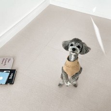 Cheonil Carpet 寵物防滑墊, 12 拿鐵米色, 10個