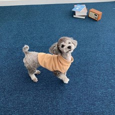 Cheonil Carpet 寵物防滑墊, 3 藍色, 10個