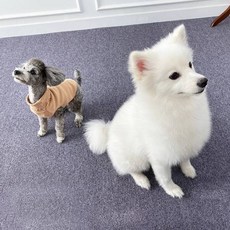 Cheonil Carpet 寵物防滑墊, 9 淺藍紫色, 10個