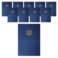 다니엘문구 머메이드 매직패브릭 종이 상장케이스 세로형 고급이중접착끼움식, 청색 상, 10개