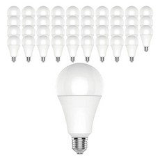 友利企業 長壽 LED燈泡 8W, 晝光色, 40個