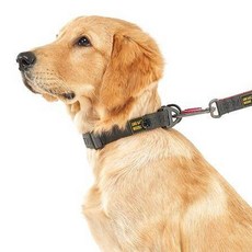 Needs the Pet. Earthec 標準狗項圈, 1個, 深灰色 紅色