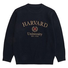 HARVARD KIDS 兒童哈佛經典標誌套頭針織衫 HJCTKPD34116