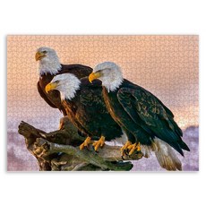 小房子 成人興趣 多款拼圖, 老鷹, 1個, 1000件