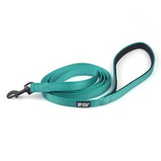 WILD DOG 狗狗基本牽繩, 藍綠色