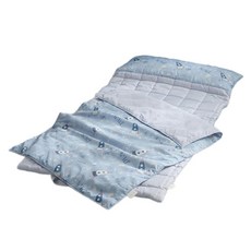 SesaOnline 孩童用絎縫火箭印花超細纖維防蟎午睡墊被+鋪棉枕芯組, 藍色