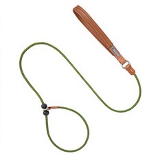 CAMULALA 狗狗一體式牽繩, 1個, 綠色