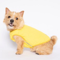 헤지스 반려동물 경량 패딩 조끼, YELLOW, 1개