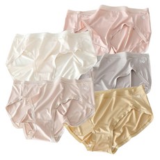 휴데이 여성 리얼빅사이즈 팬티 모달면엘르 5종 세트