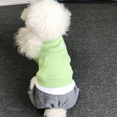 Coco studio 狗狗Coco清爽檸檬連身衣, 1個, 綠色