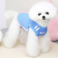 Coco studio 狗狗日常訓練背心, 1個, 藍色