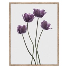 아트마트 빈티지 꽃그림 알루미늄 액자 Tulips Purple 디자인 파브리큰, 우드
