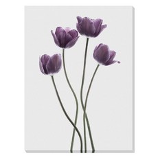 Artmart 復古花卉畫帆布畫框 Tulips Purple Fabriken設計, 帆布畫框