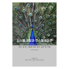 시스템 코칭과 컨스텔레이션:개인 팀 및 그룹에 대한 원칙 실천 및 적용, 존 휘팅턴 , 가향순, 한국코칭수퍼비전아카데미