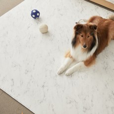 바키 반려동물 미끄럼방지 매트, 바키 마블, 1개