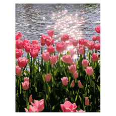 DIY數字油畫, W09 湖與鬱金香, 1個