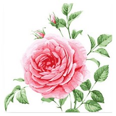 히트 DIY 그리기, W26 한송이 장미, 1개