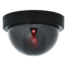 Dometopia 圓型監視器攝影機, 1個, 單品