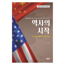 역사의 시작:미ㆍ중전쟁과한국의선택 | 경제대항해시대 위기에처한열린사회의운명은?, 허윤, 지식과감성