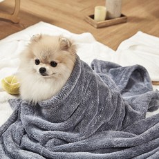 세사퍼피 소프트 극세사 펫 타월, 1개, GRAY