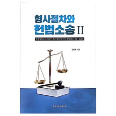 형사절차와 헌법소송 2:헌법재판소 결정이 형사절차에 미친 영향(2011.08~2020), 강동욱, 동국대학교출판부