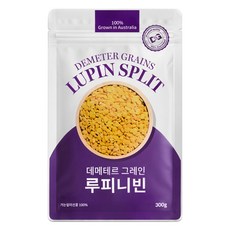 데이즈온 데메테르 그레인 루피니빈, 1개, 300g