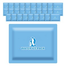 冰袋成品 水冰袋 中型 150 x 200 mm, 1入, 30個