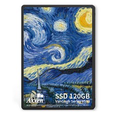 액센 SSD Van Gogh Series SATA3.2, V100, 120GB