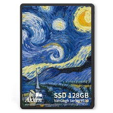 액센 SATA3 Van Gogh Series SSD, V110, 128GB