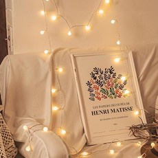 앵두 트리 줄전구 50구 + 리모컨 + USB케이블 세트, 웜노랑(줄전구), 1세트