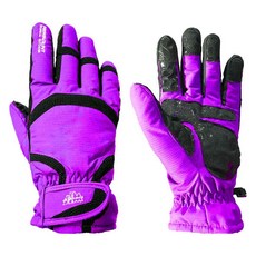 HIGH MOUNT Koroa 防風防寒登山滑雪觸控手套 雙手一組, 紫色, 1套