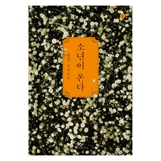 Changbi Publishers 少年來了 1 大字版, 韓江