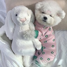 Coco studio 狗狗日常野花連身衣, 1個, 綠色