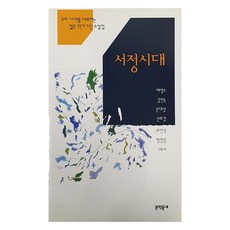 서정시대, 문학동네, 채영주