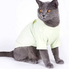 Coco studio 寵物日常Coco水果T恤, 1個, 薄荷綠