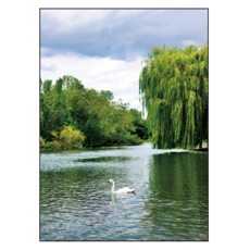 어번던스 99.9% 빛차단 비비드 컬러 3중직 창문형 암막커튼