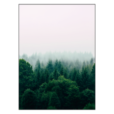 어번던스 99.9% 빛차단 비비드 컬러 3중직 창문형 암막커튼