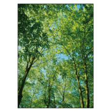 어번던스 99.9% 빛차단 비비드 컬러 3중직 창문형 암막커튼