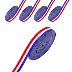 indi.k 法國國旗緞帶 三色緞帶 寬10mm, 4.5m, 混色, 5個