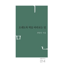 오래도록 벽을 바라보는 일:최영민 시집, 최영민, 심지출판사