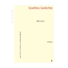 괴테 시선 5(큰글씨책), 요한 볼프강 폰 괴테, 임우영, 지식을만드는지식