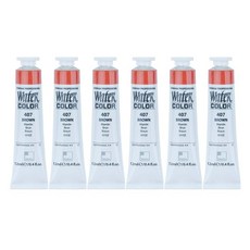 신한화구 전문가 수채화 Tube 407 브라운 6p, 12ml, 1색