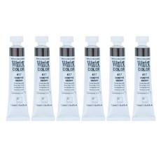신한화구 전문가 수채화 Tube 417 반다이크 브라운 6p, 12ml, 1색