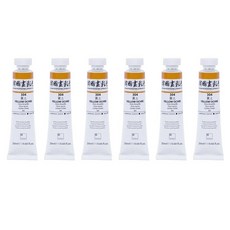 신한화구 전문가 한국화 물감 304 황토 6p, 20ml, 1색