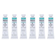 신한화구 전문가 한국화 물감 308 백록 6p, 20ml, 1색