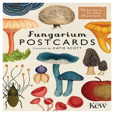 A Fungarium Postcards, Templar Publishing