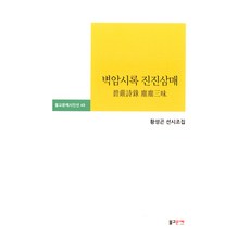 벽암시록 진진삼매, 불교문예, 황성곤