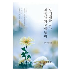 追隨彩虹 跨越洶湧波濤, 韓國文化史, 李華秀