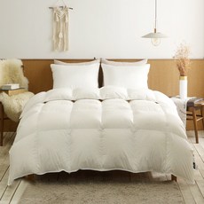 라셀렌 거위털 헝가리 다운 80 알러지케어 모달 구스이불 400g, 화이트